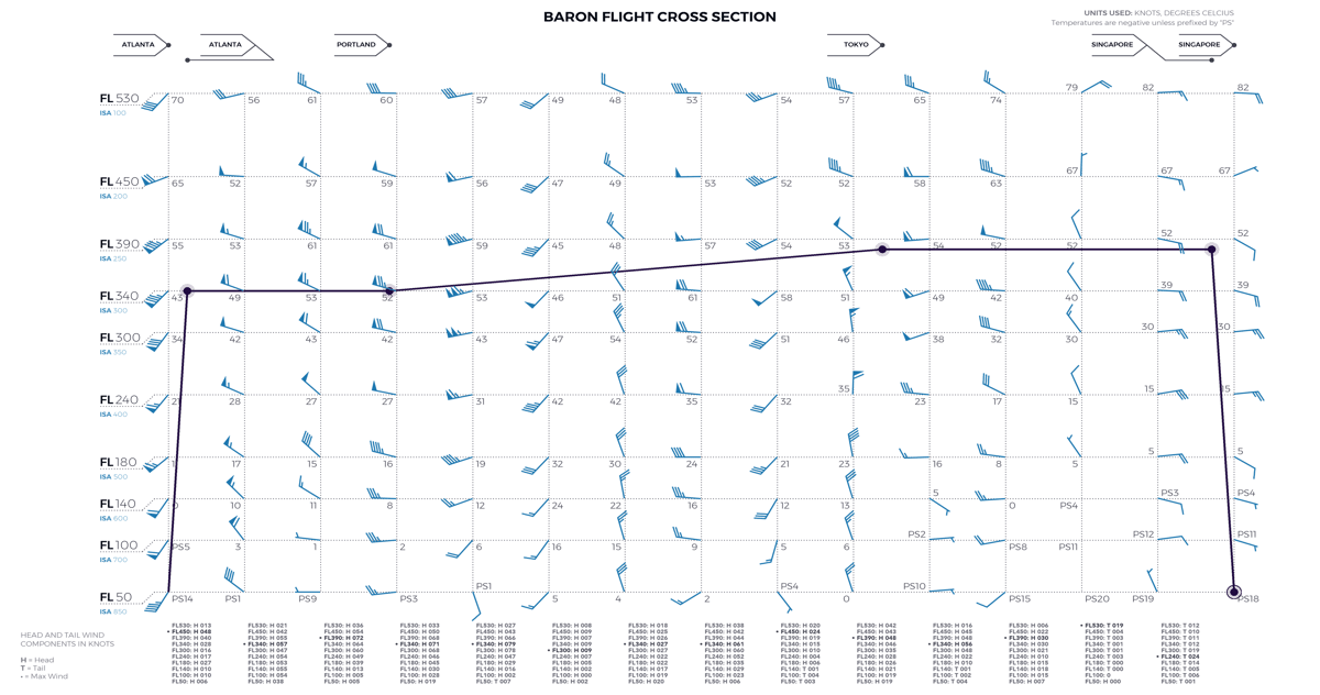 Baron Flight Cross Section - Daytime